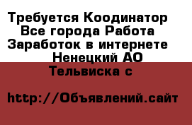 Требуется Коодинатор - Все города Работа » Заработок в интернете   . Ненецкий АО,Тельвиска с.